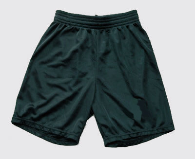 Mesh Gym Shorts